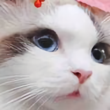师傅来俩火烧头像