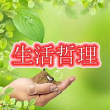 生活小哲理大道理头像