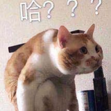 大番茄633头像