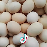 小锋头像