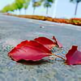 X小霸王头像