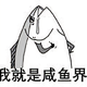 稀烂999头像
