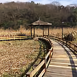 小草6988头像