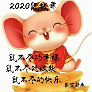 猪宝贝飞天头像