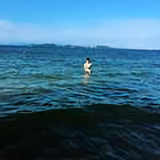 MrJhaoy头像