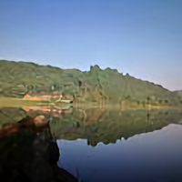 金弹子盆景业余爱好者头像