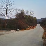秋风落叶3413头像