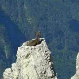 智者那山那水头像