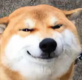 Chris陀佛头像