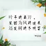 落叶2376头像