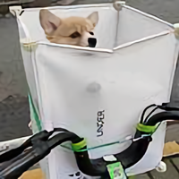 六月的雨杰哥头像