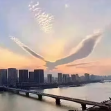 雄鹰展翅自由飞翔666头像