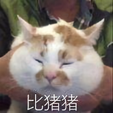 吃吃鱼鱼鱼头像