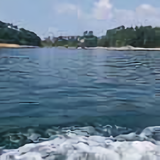 奋斗34839头像