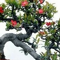 漫步8837203821372头像