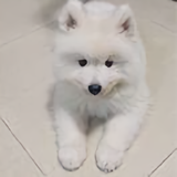 热心生活家On头像