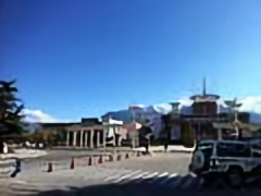涛哥说IT头像