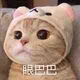 人丑jio又臭头像