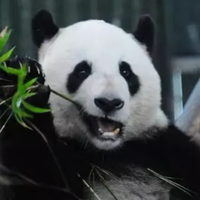 路漫漫其修远526头像