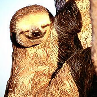 胖到瘦不了头像