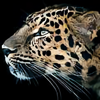 全家福143608926头像