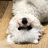 用户25053106头像