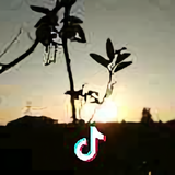 大江盛世头像