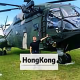 N1u牛头像