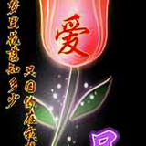 陈明刚我爱你到永远头像