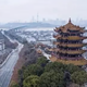 心存善念的俗人头像