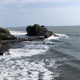 碧波荡漾2019头像