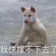 111头像