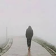 懒洋310头像