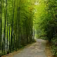 择一人深爱等一人终老284头像