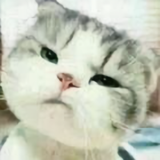 用户8012970129488头像