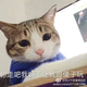 十年后的八月还能相遇头像