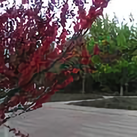 明天更美好王垚头像