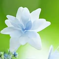 一颗炙热的心丶93头像