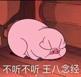 63266253头像