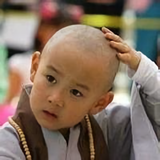 小僧不上车头像