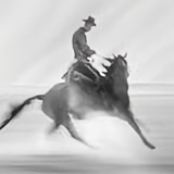 用户4522084917825头像