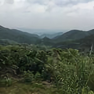 鑫森淼焱垚SU头像