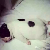 蒙面少年没有牙丶头像