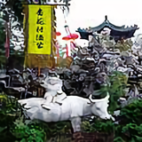 杏花村汾酒专卖头像