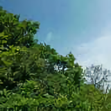 大鹏88393头像
