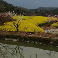 福气又安康figthing头像