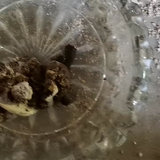 用户5353147831191头像
