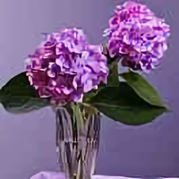 相识是缘3171头像