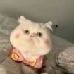 停啲你比头像