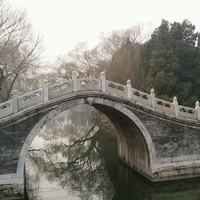 专业收账寻人寻车头像